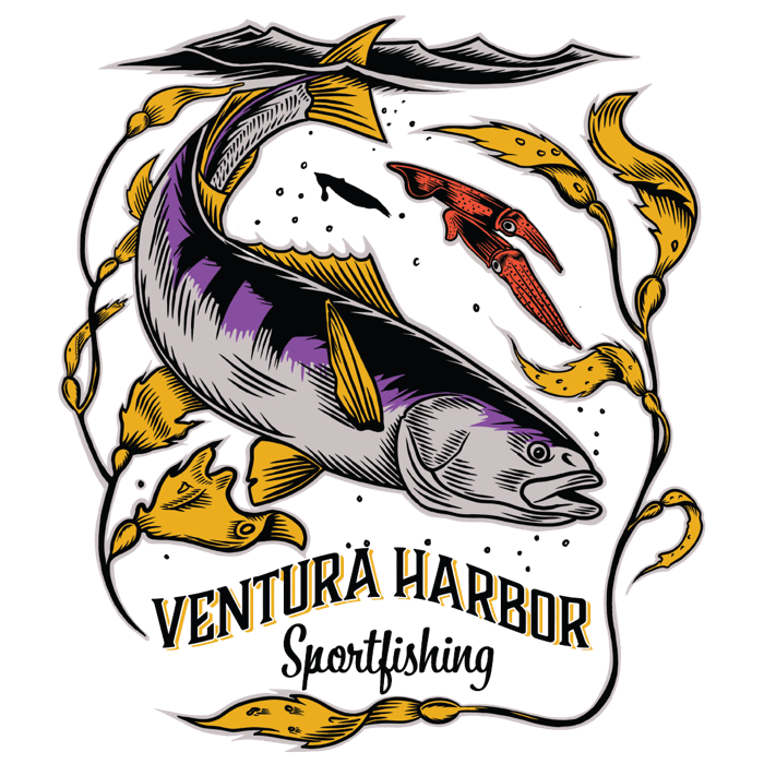 Ventura Harbor Sportfishing — white seabass with kelp and squid illustration